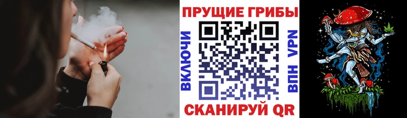 Псилоцибиновые грибы мухоморы  Нурлат 
