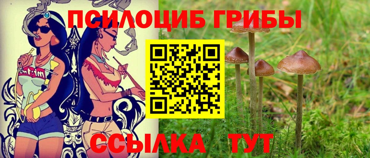 Галлюциногенные грибы мицелий  Вход с VPN  Нурлат  Псилоцибиновые грибы Cubensis 